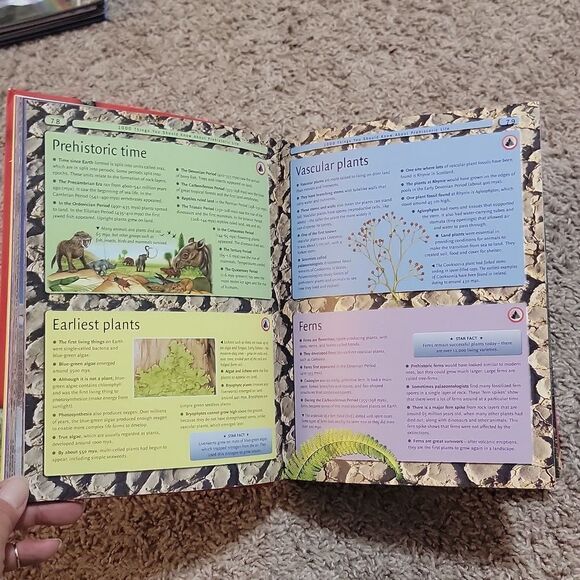 8000 Awesome Things You Should Know Book • Educational Learning - Picture 7 of 9